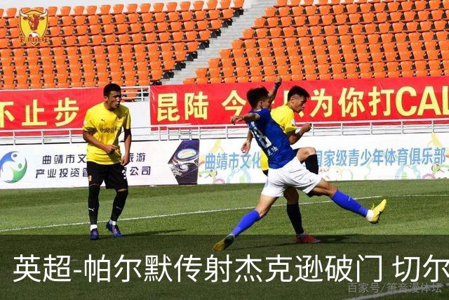 英超-帕尔默传射杰克逊破门 切尔西3-2纽卡斯尔